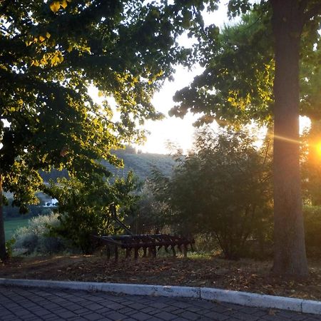Il Mandorlo B&B Civitanova Alta Εξωτερικό φωτογραφία