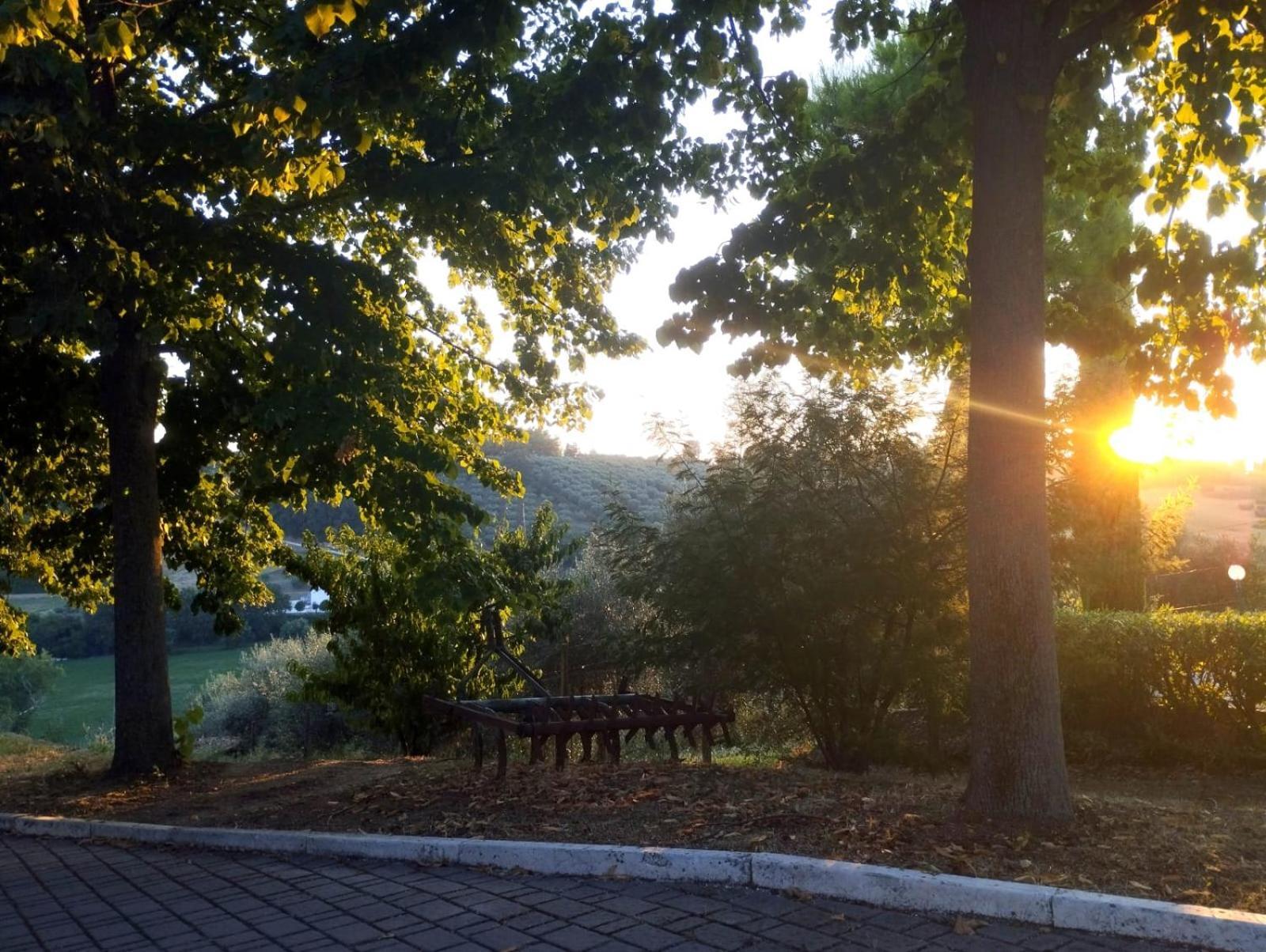 Il Mandorlo B&B Civitanova Alta Εξωτερικό φωτογραφία